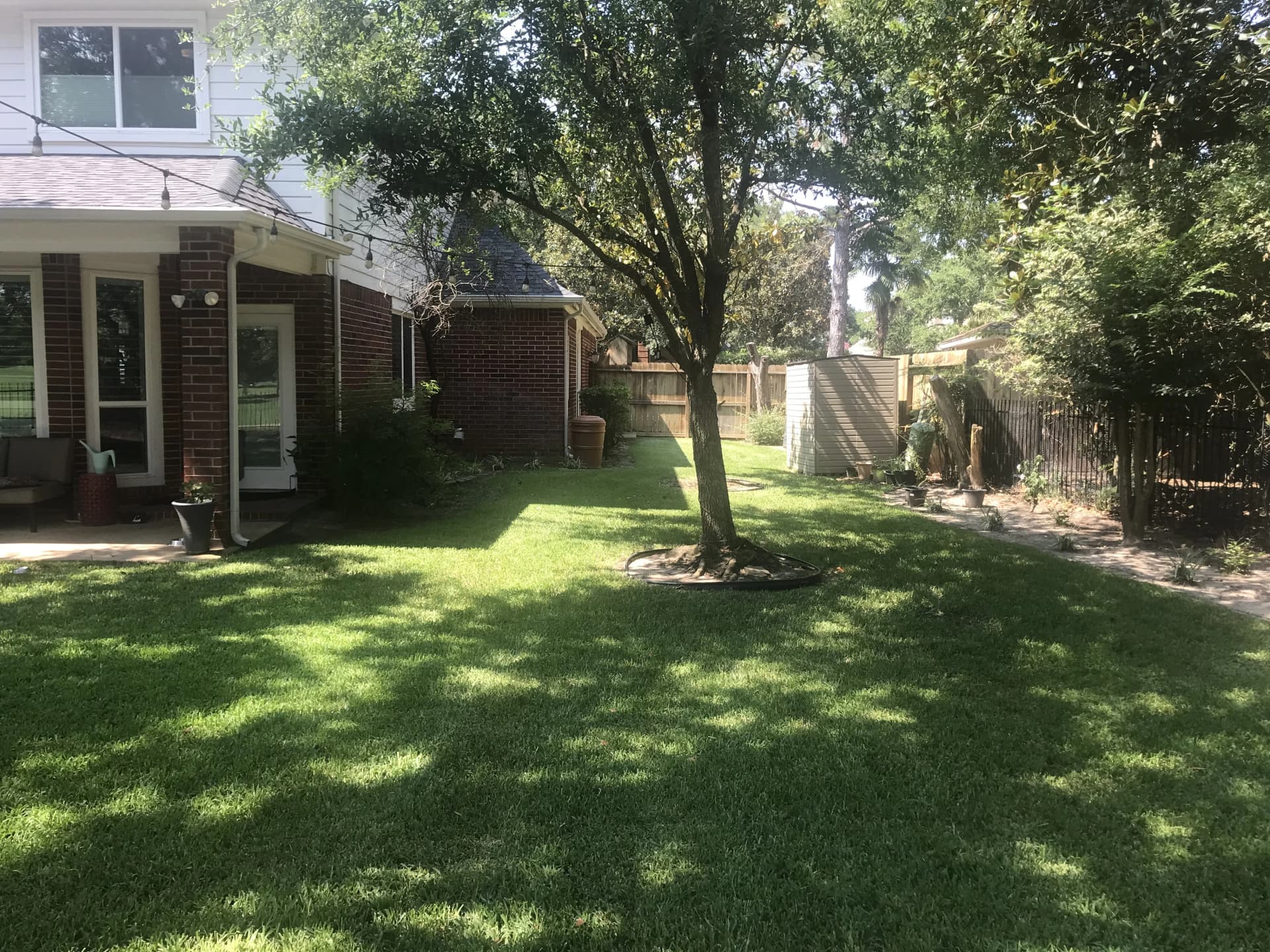 Backyard transformation project