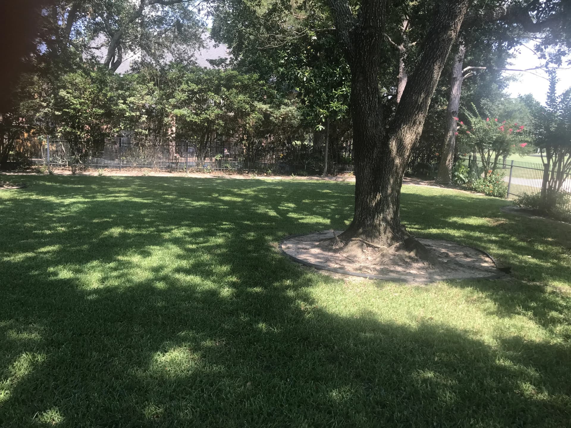 Lawn maintenance service