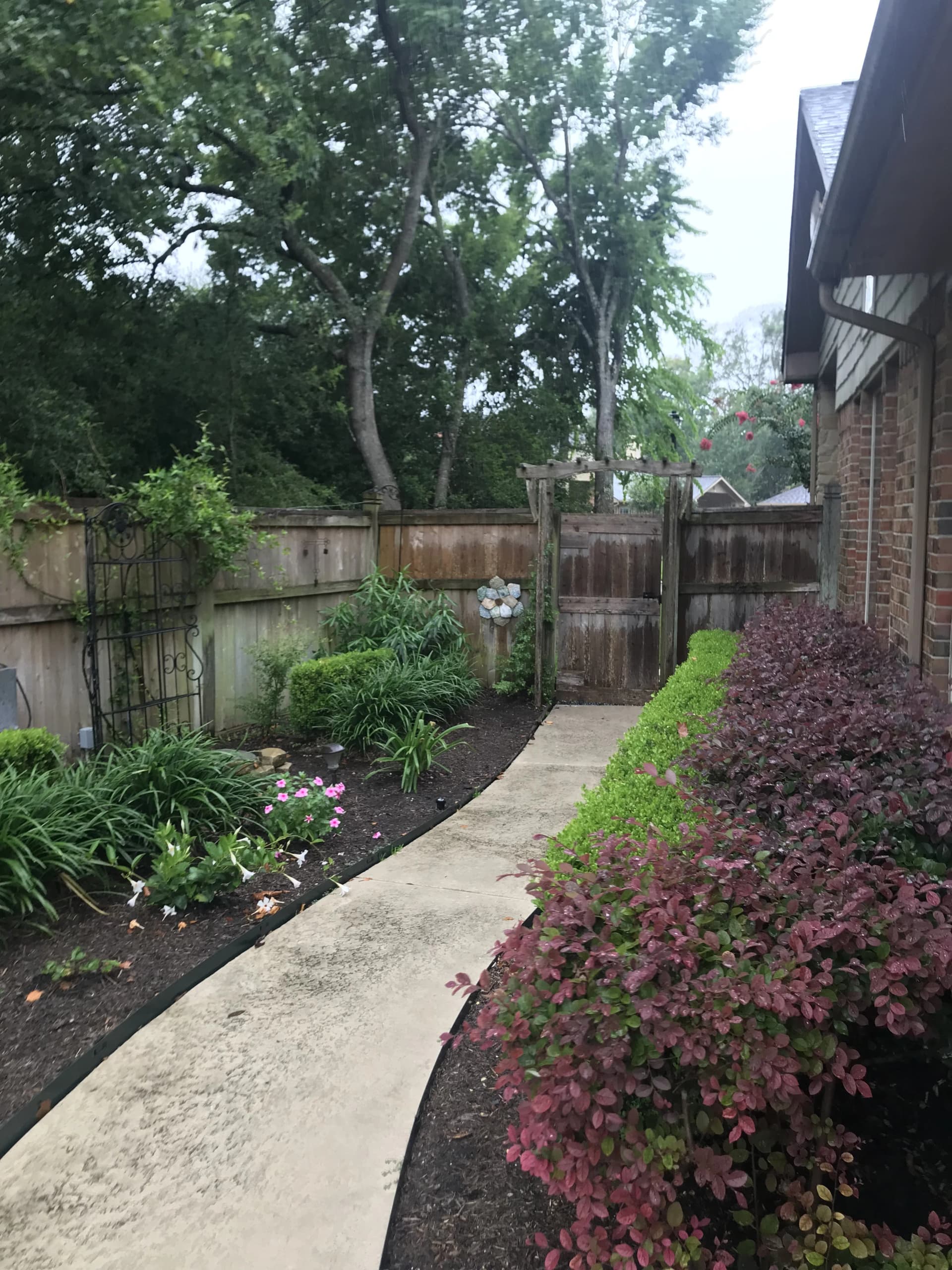 Garden maintenance project