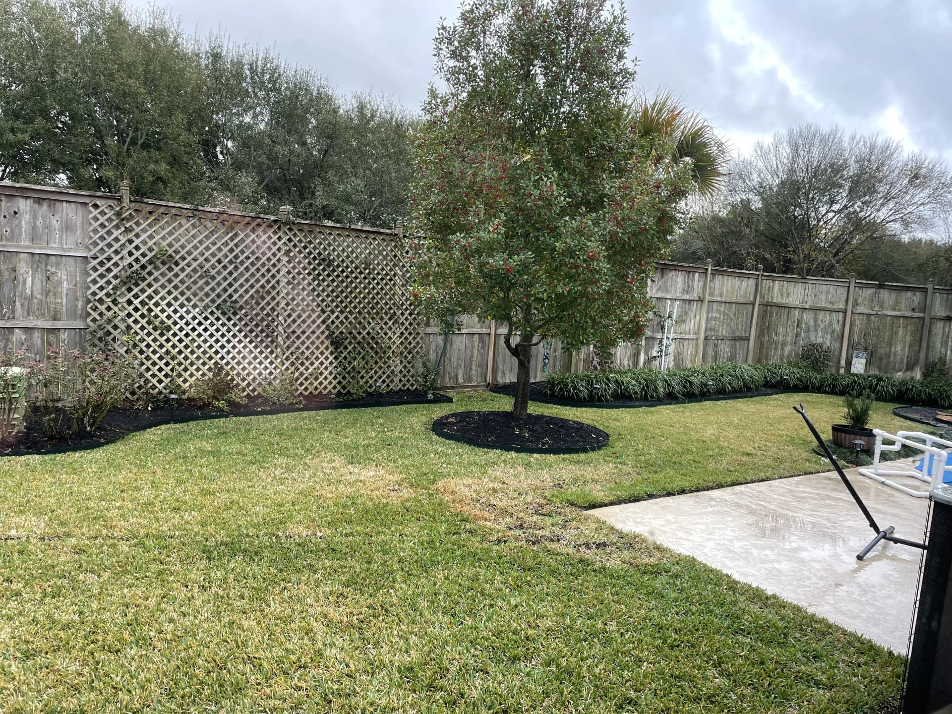 Lawn service project