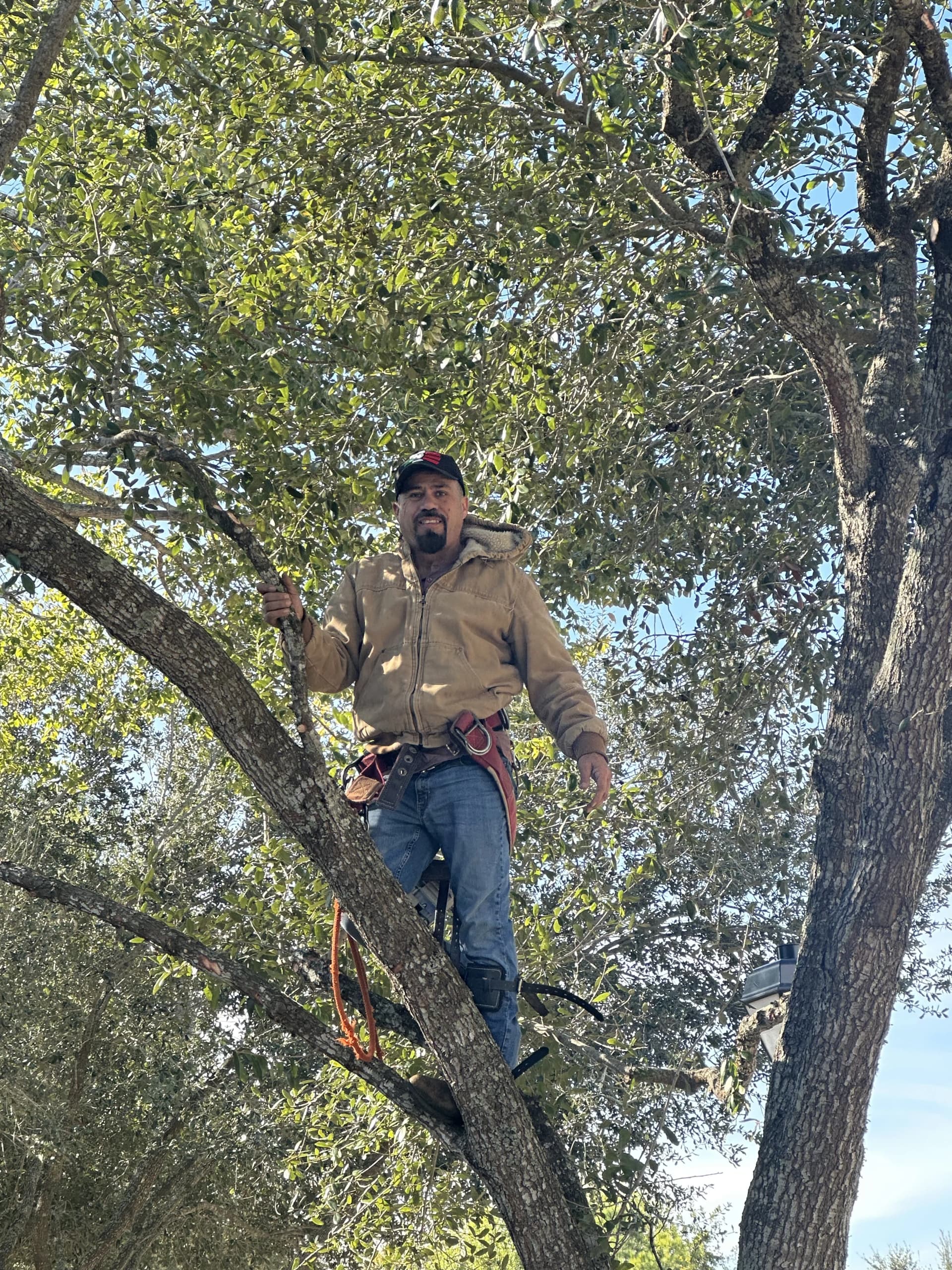 Lawn maintenance service