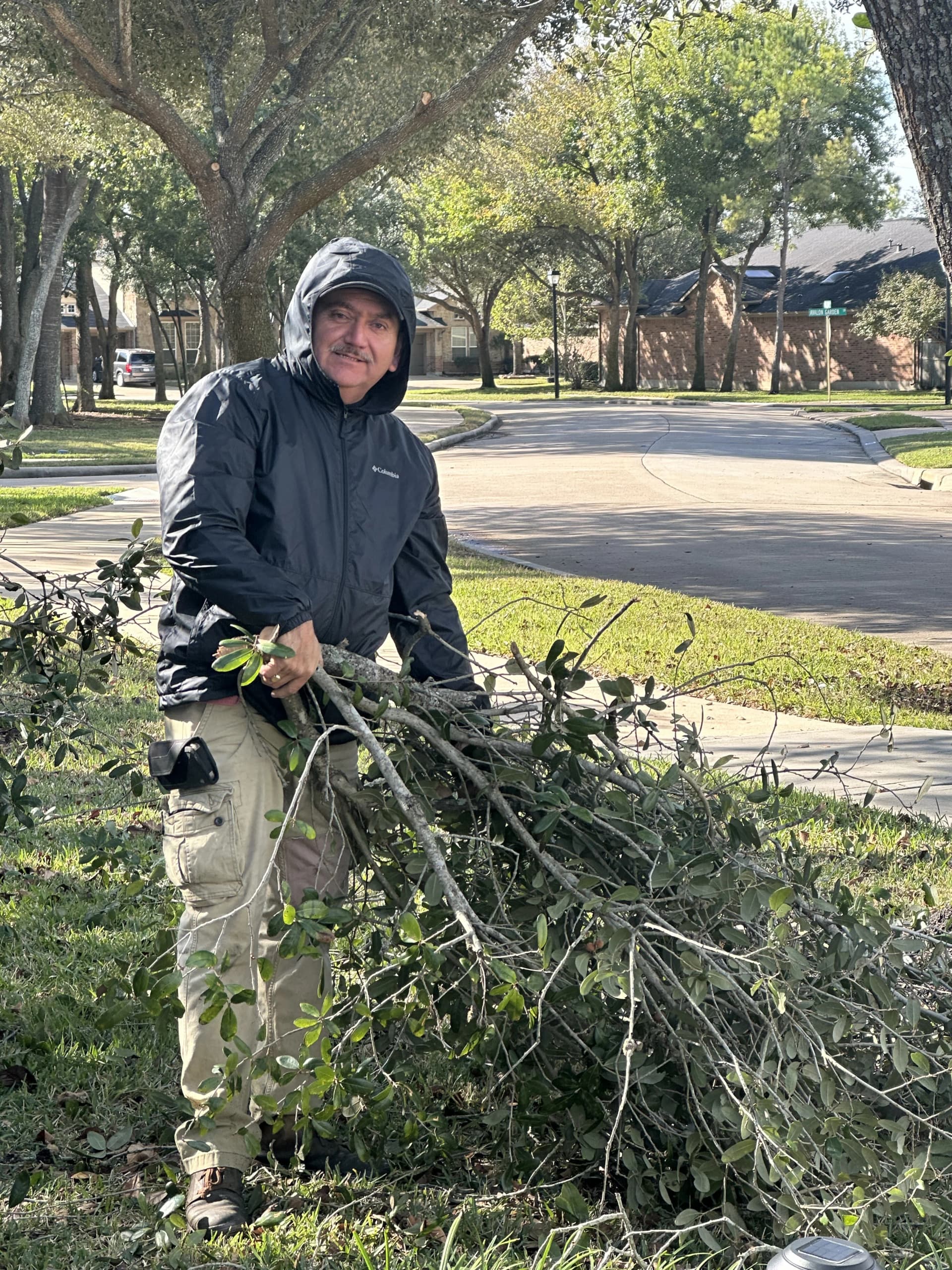Professional tree care