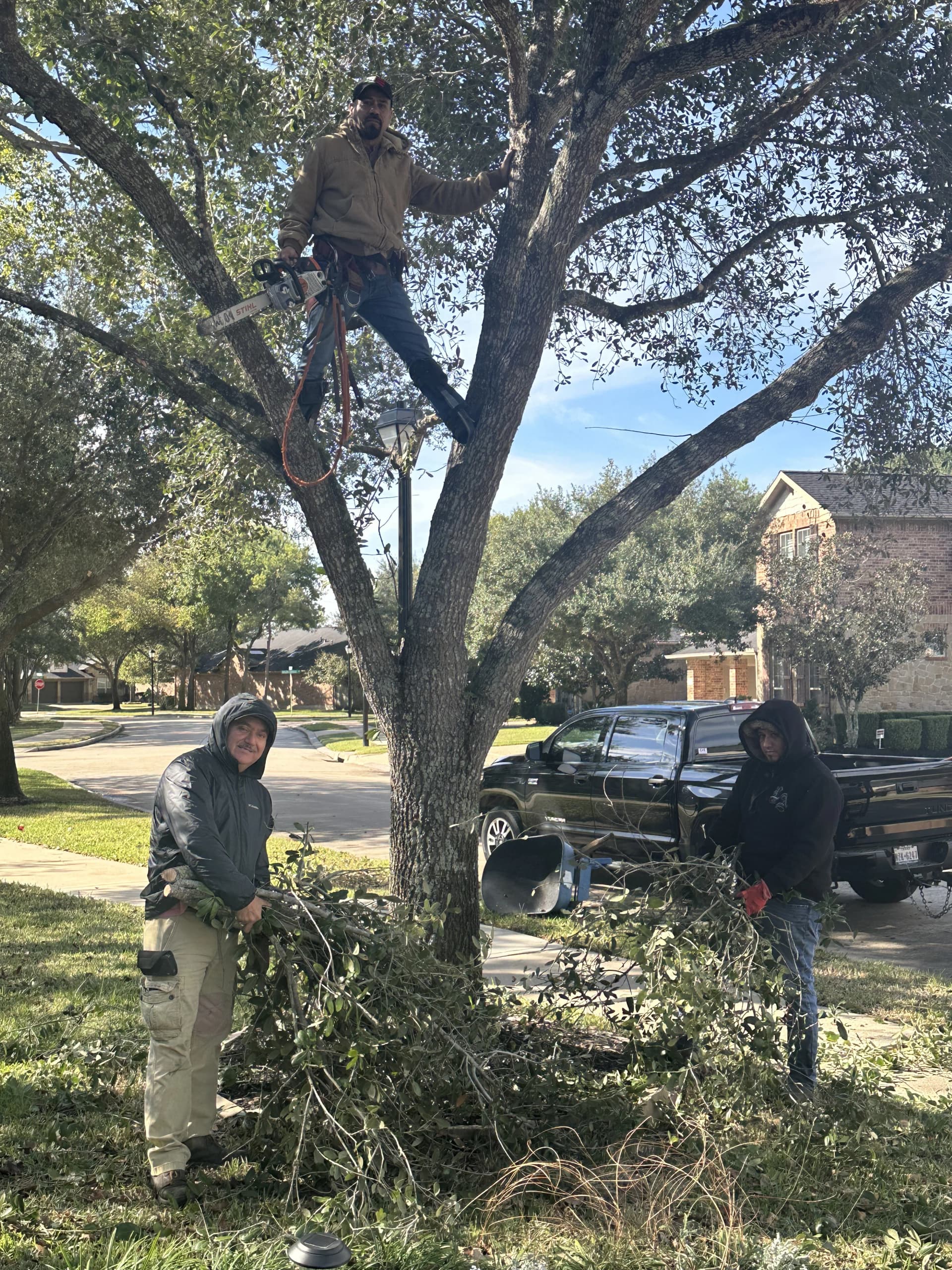 Professional lawn care team in Katy TX