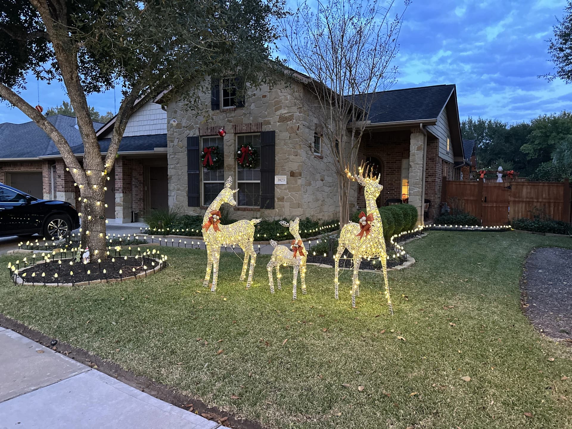 Lawn maintenance work