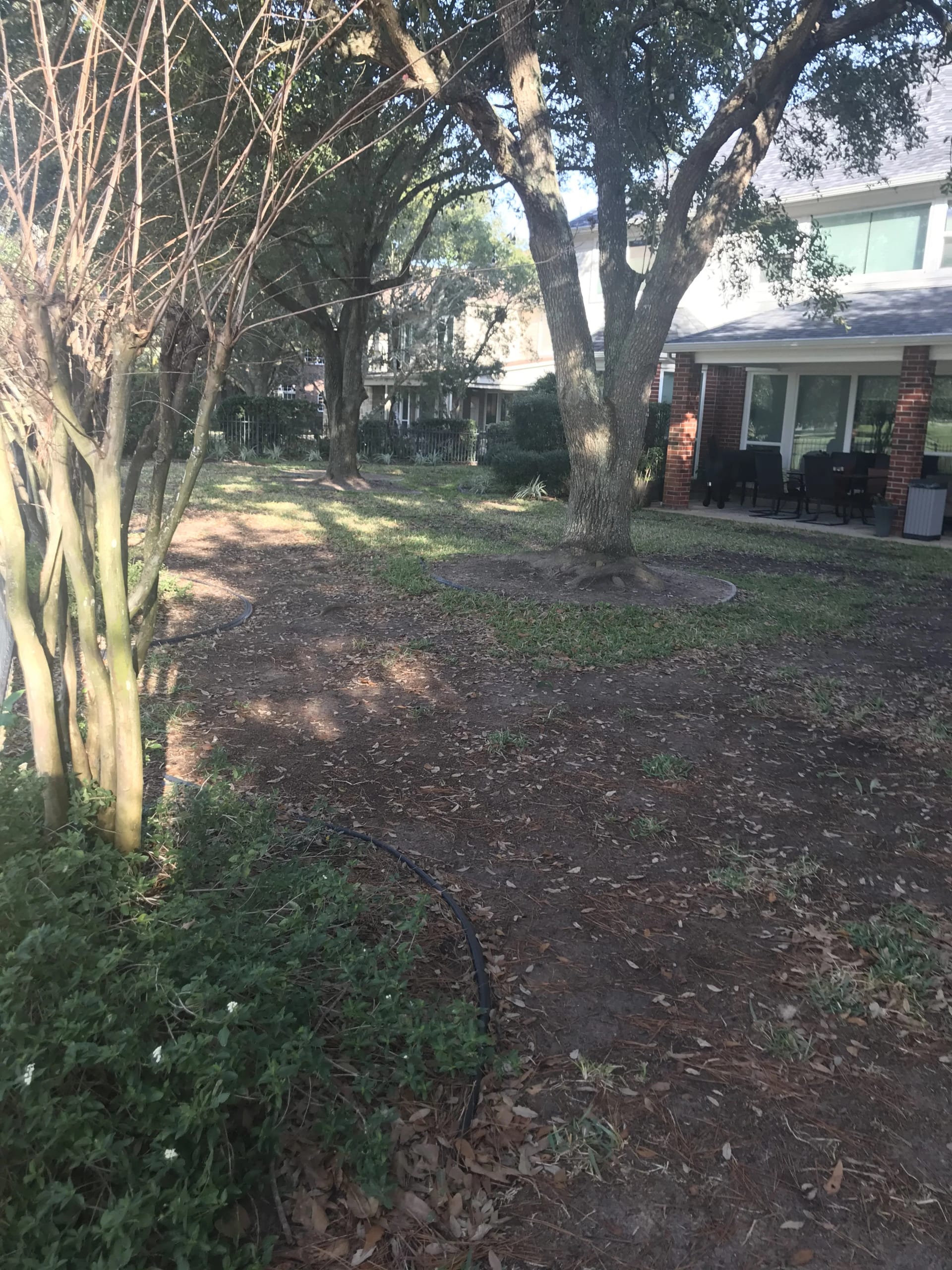 Before: Complete Lawn Renovation